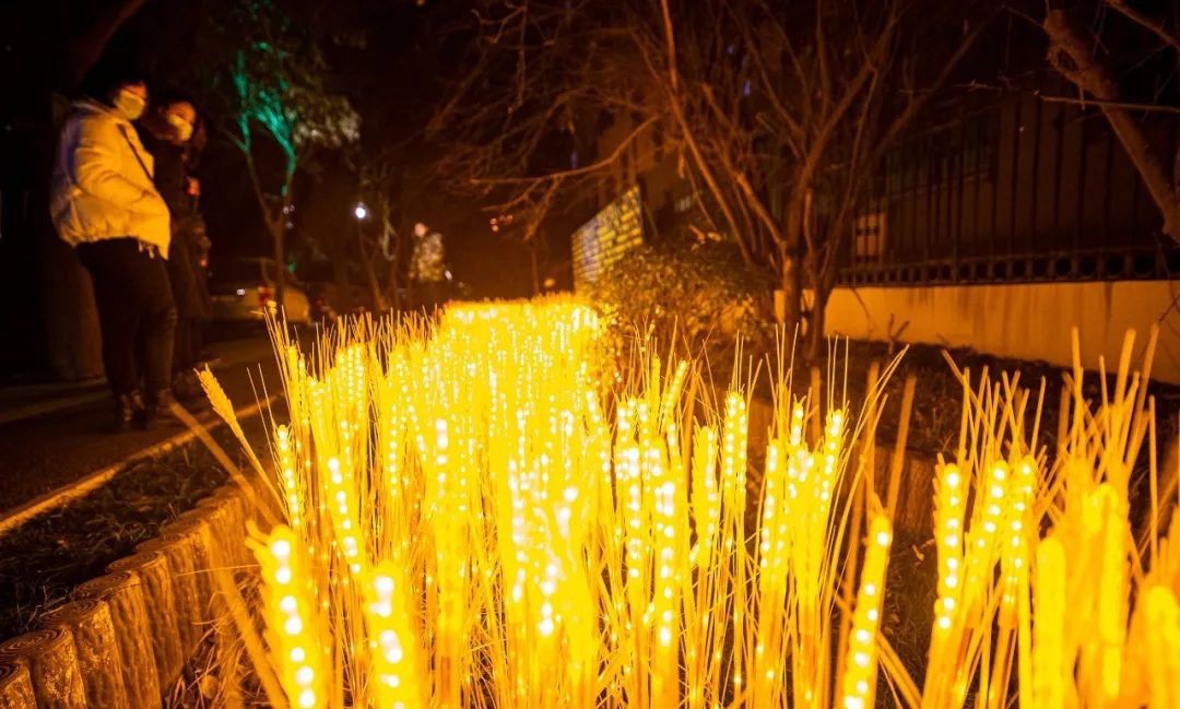 河南鹤壁海棠西巷夜间互动灯光正式亮相