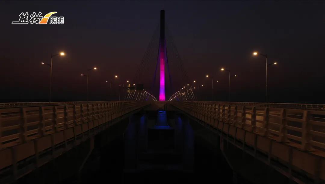 熊猫照明助南京浦仪大桥惊艳亮灯