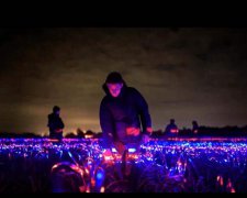 新锐艺术家用灯光装置为荷兰弗莱福兰省一片农田打造唯美夜景