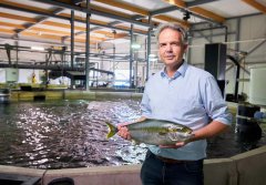 昕诺飞助力Kingfish向环境友好型水产养殖企业加速转型