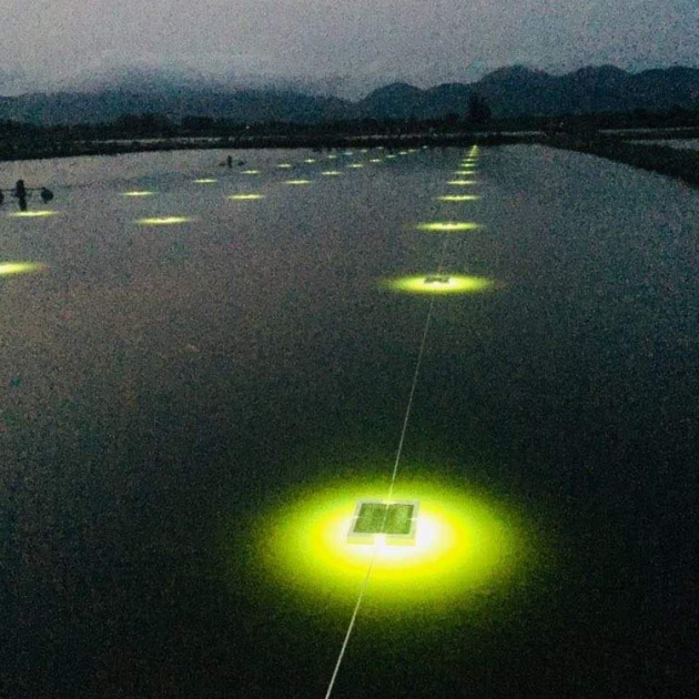 昕诺飞全新水产养殖照明产品利用太阳能促进鱼类生长并提高饲料转化率