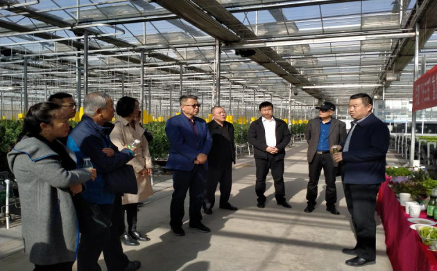 宁夏人工光植物工厂节能及高效栽培技术研究与示范项目通过验收