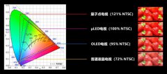 北京大学深圳研究生院孟鸿教授团队：量子点、钙钛矿色转换全彩显示应用研究