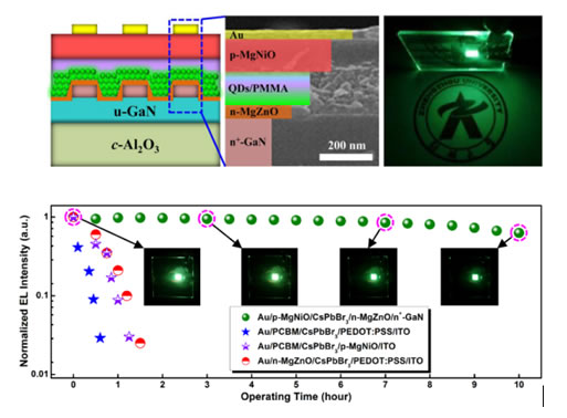研究人员制备出全无机钙钛矿绿光LED，稳定性大幅提高