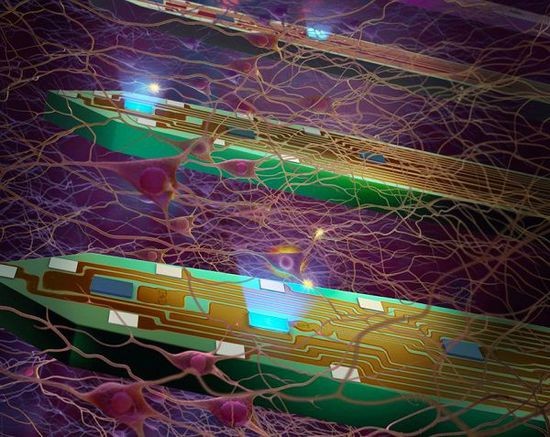 LED医疗应用新进展 科学家开发最小脑植入式LED探针