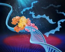 【新技术】美国生物工程学家利用LED灯加速DNA复制