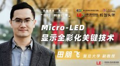 【极智课堂】复旦大学田朋飞：Micro-LED显示全彩化关键技术