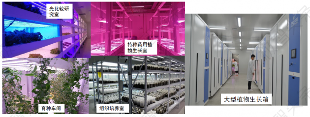 【极智课堂】中科三安李晶：LED植物工厂及育苗的产业化