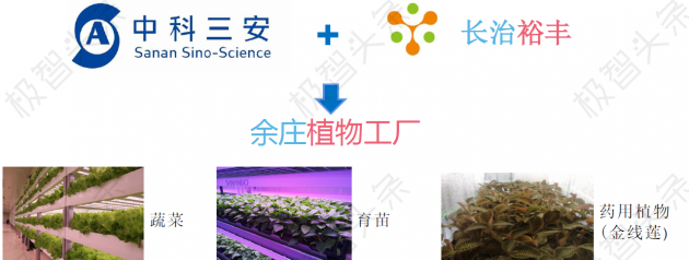 【极智课堂】中科三安李晶：LED植物工厂及育苗的产业化