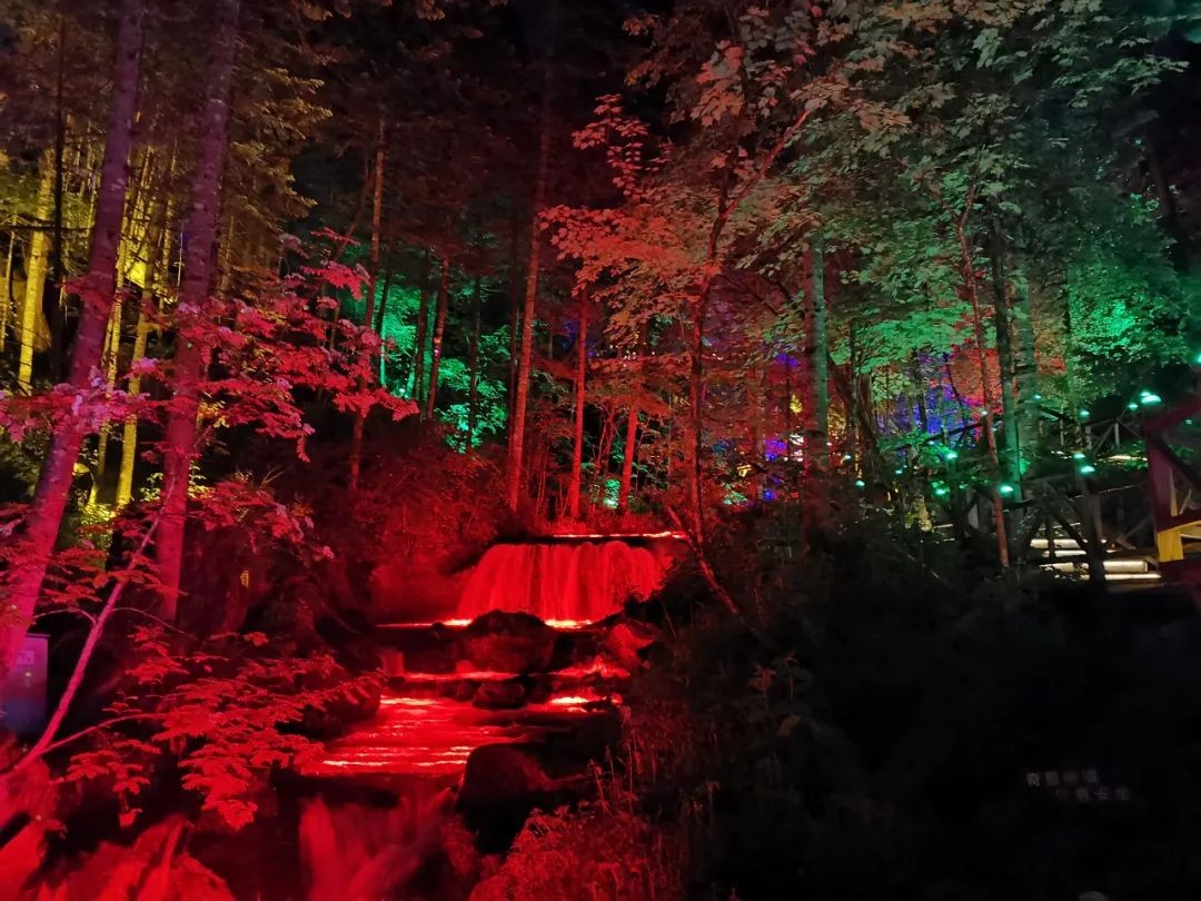 森林夜景灯光秀亮相吉林长白山大戏台河景区
