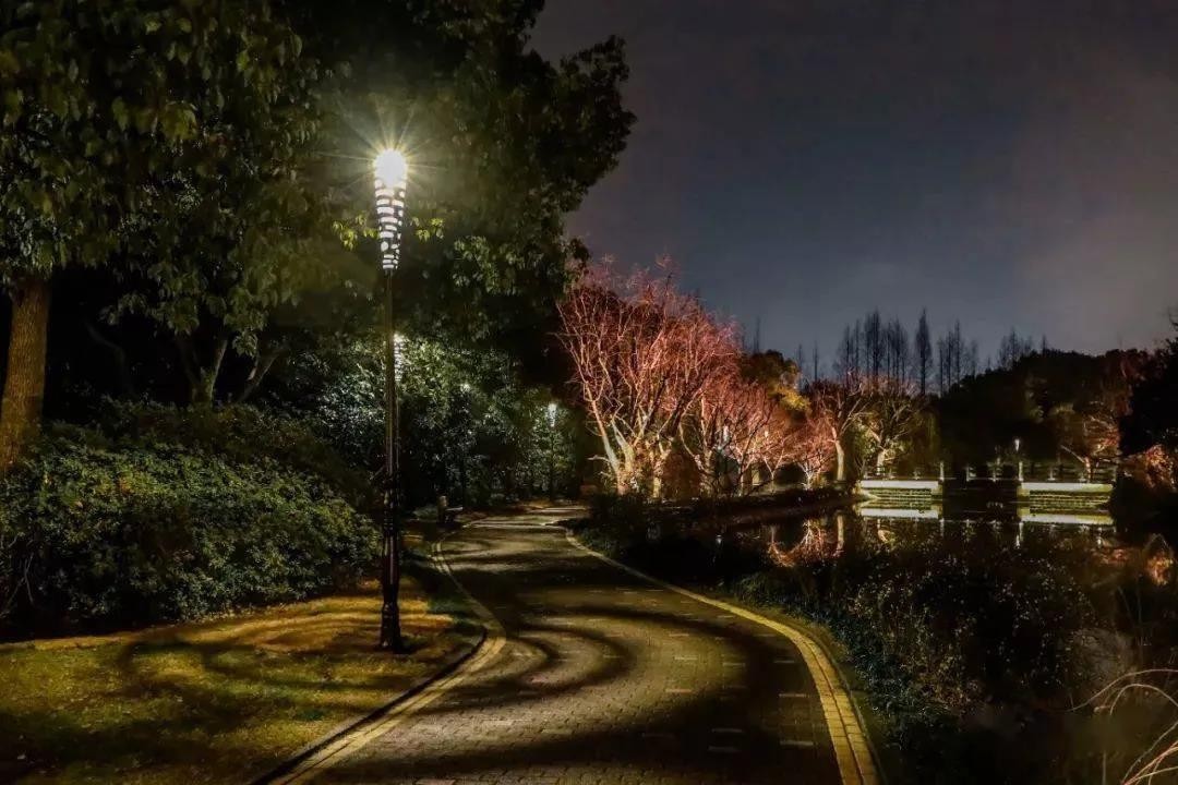 中国十大公园夜景照明工程