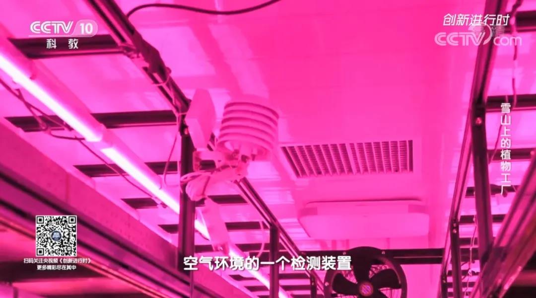 CCTV10《创新进行时》专题报道：雪山上的植物工厂