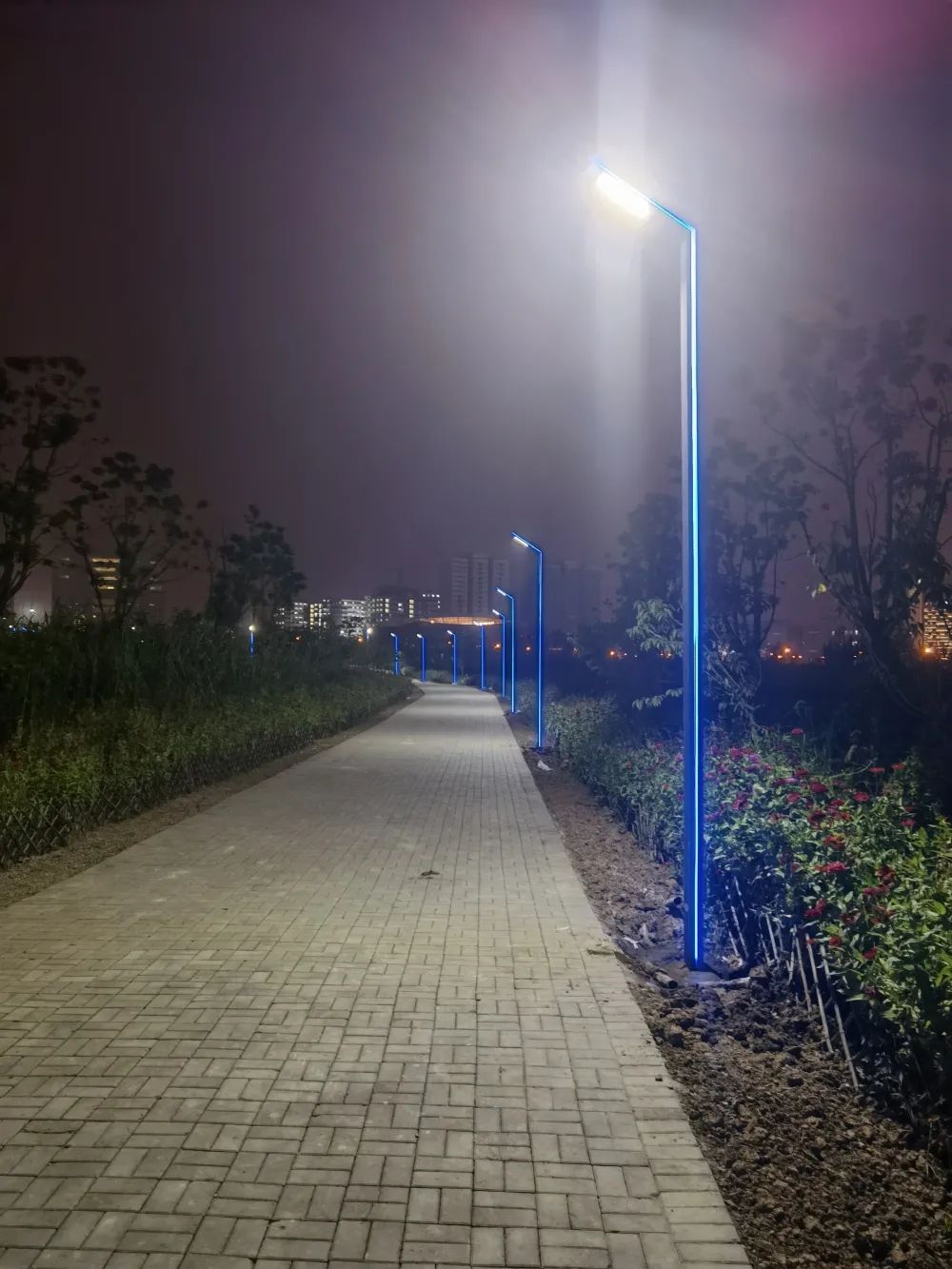 合肥高新区中科大游园夜间照明设施完成改造提升