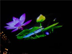 重庆梁平双桂湖国家湿地公园专属“景观投影灯”上线