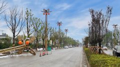 华体科技LED节能路灯点亮四川丹棱县的乡村振兴路