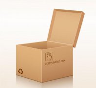 纸箱设计具有哪些特点？
