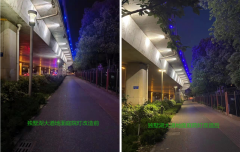 江苏苏州完成四条主要道路景观亮化设施更换