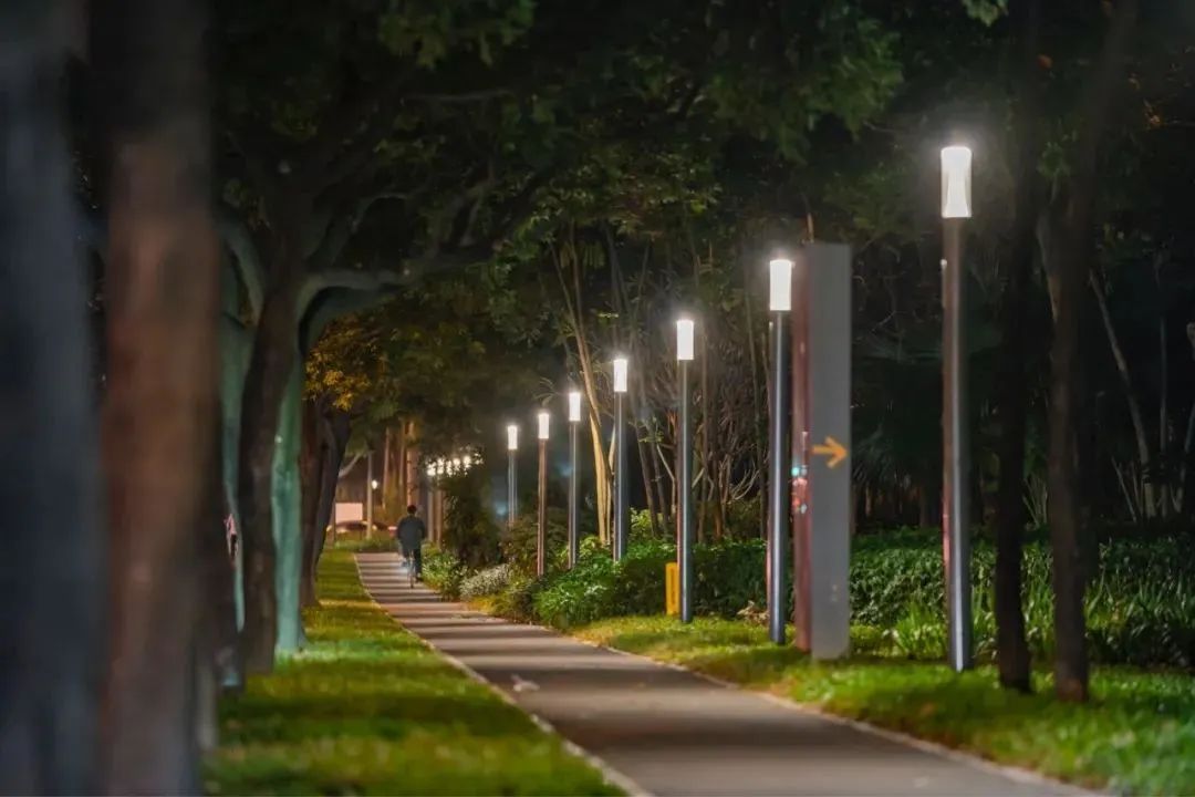 如何用一盏灯还原城市的人文关怀？以深圳福田照明提升工程为例