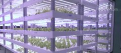 甘肃酒泉戈壁滩LED植物工厂为航天员供应纯净蔬果