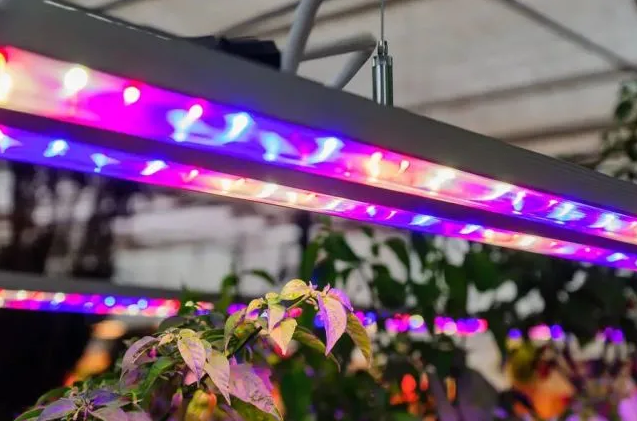植物照明引领未来农业革命，植物补光设备发展快速，未来市场广阔