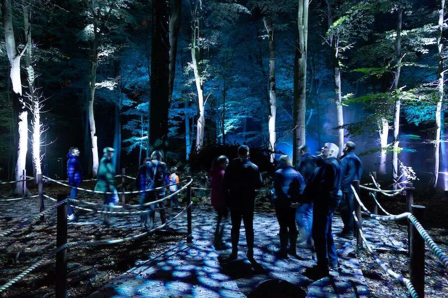 从“哈利·波特：禁忌森林之旅”看沉浸式夜游IP打造