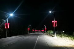 480盏太阳能路灯点亮广东湛江廉江市石角镇群众安全路