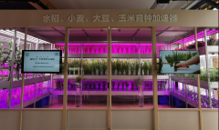 中国农科院都市所植物照明成果亮相中国农民丰收节