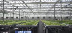 南京浦口区植物工厂借力智能LED灯高效种植作物