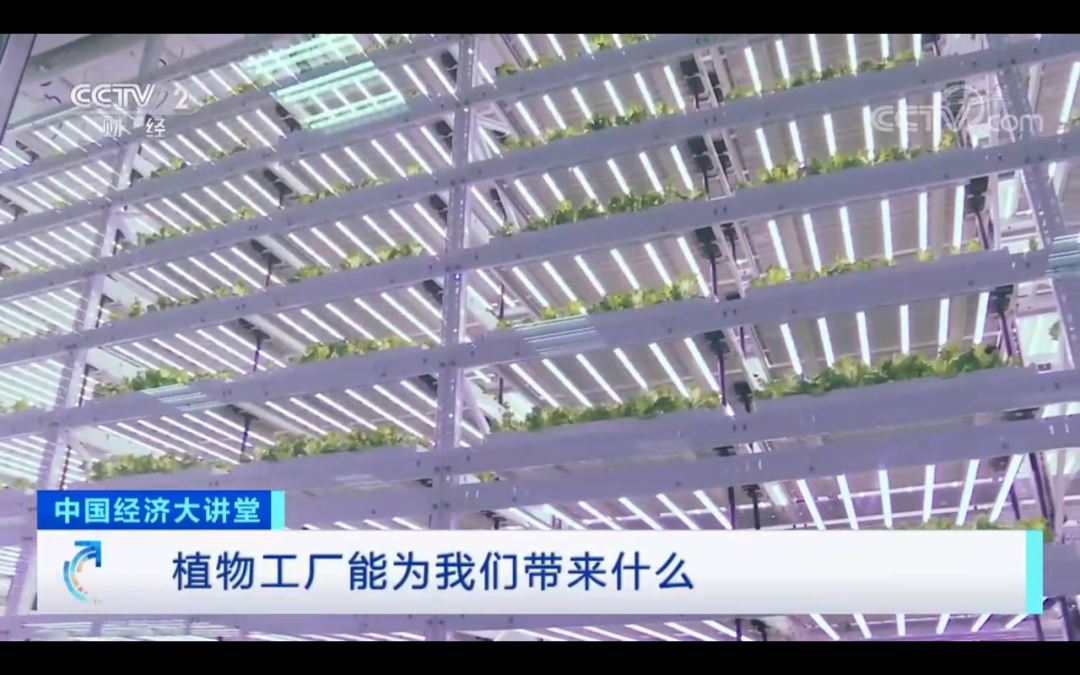 CCTV2《中国经济大讲堂》| 杨其长：​植物工厂能为我们带来什么？