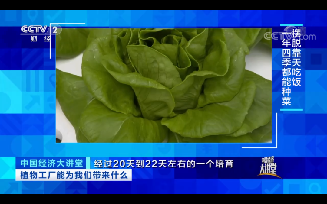 CCTV2《中国经济大讲堂》| 杨其长：​植物工厂能为我们带来什么？