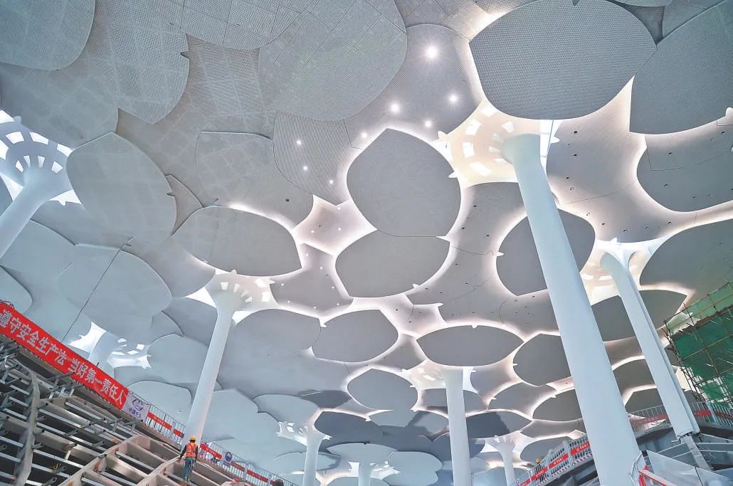 北京城市副中心“森林书苑”天花板亮灯