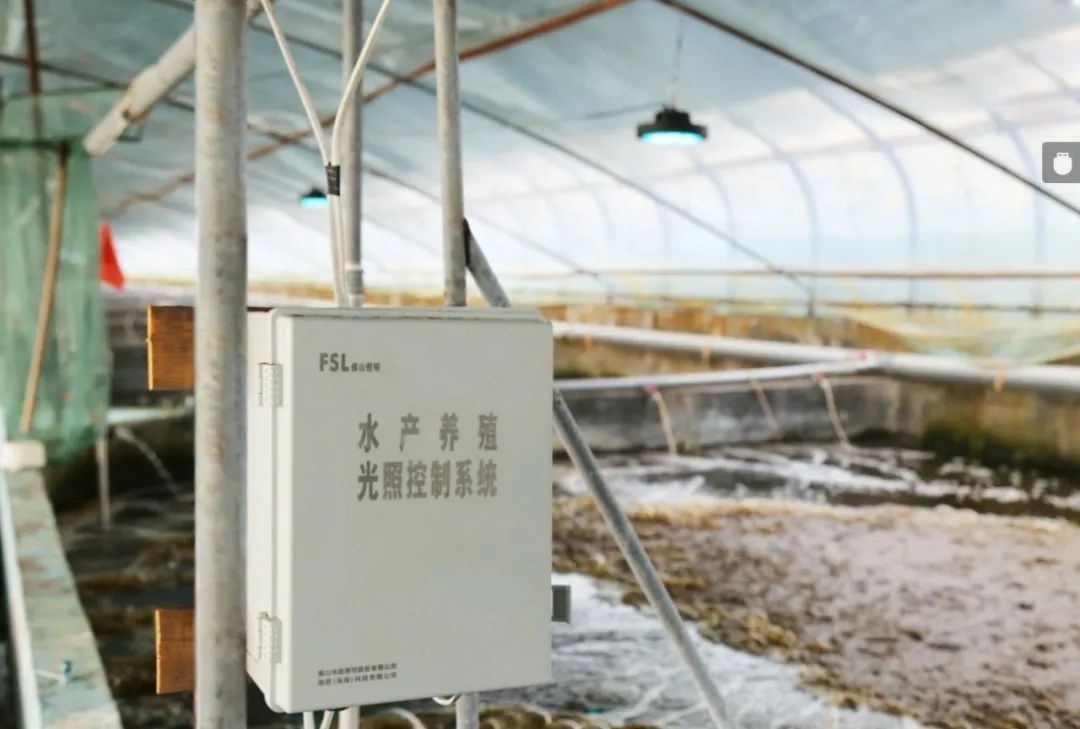 佛山照明水产养殖光照控制系统实现养殖品种增重率大幅提升