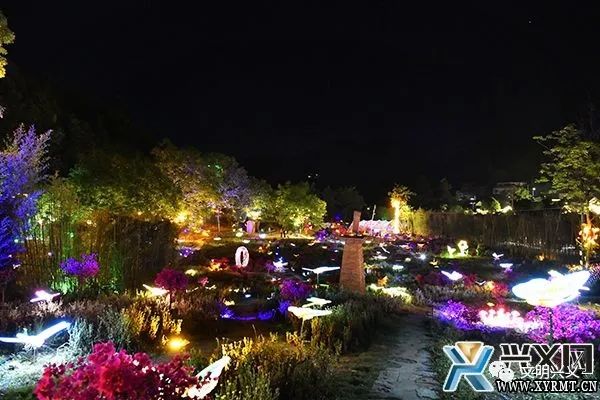 贵州黔西南州兴义市打柴山景区新增“昆虫灯光秀”