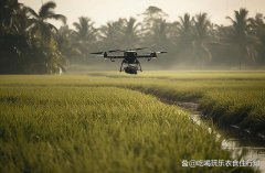 植保无人机发展前景如何 农用植保无人机的发展趋势有哪些？
