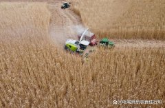 小麦收割机可以收玉米吗 小麦收割机怎么改装收玉米？