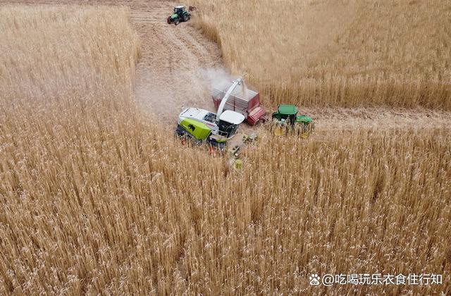 小麦收割机可以收玉米吗 小麦收割机怎么改装收玉米？