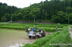 水稻插秧机多少千瓦 水稻插秧机的工作过程是怎么样的？