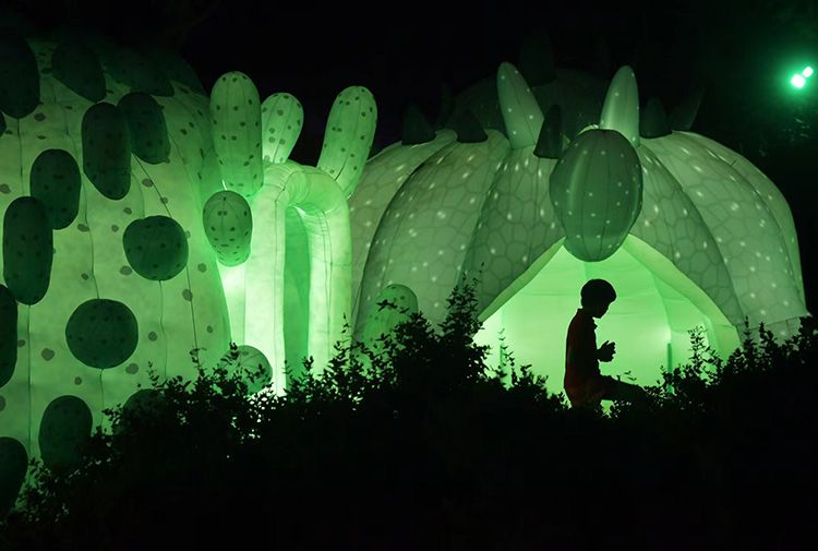 “深林觅境”梦幻光影夜登录北京世界花卉大观园