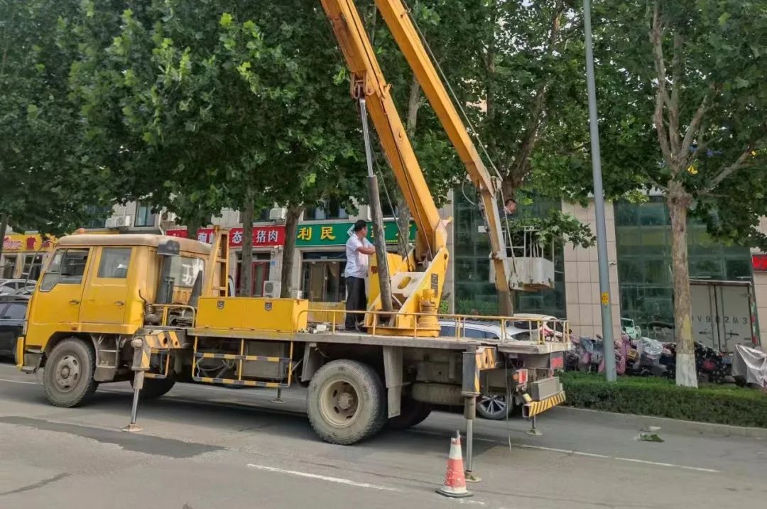 山东潍坊昌乐县修剪遮挡路灯行道树以提升城市道路照明度