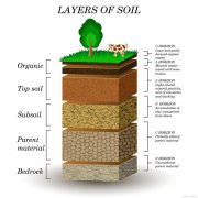 污泥堆肥对土壤生态的改良修复作用
