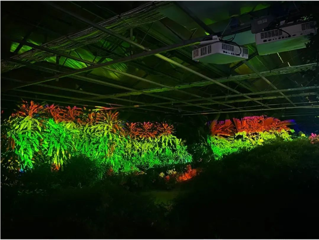首都夜游新地标！NEC投影机点亮北京世界花卉大观园