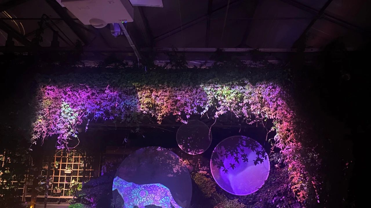 首都夜游新地标！NEC投影机点亮北京世界花卉大观园