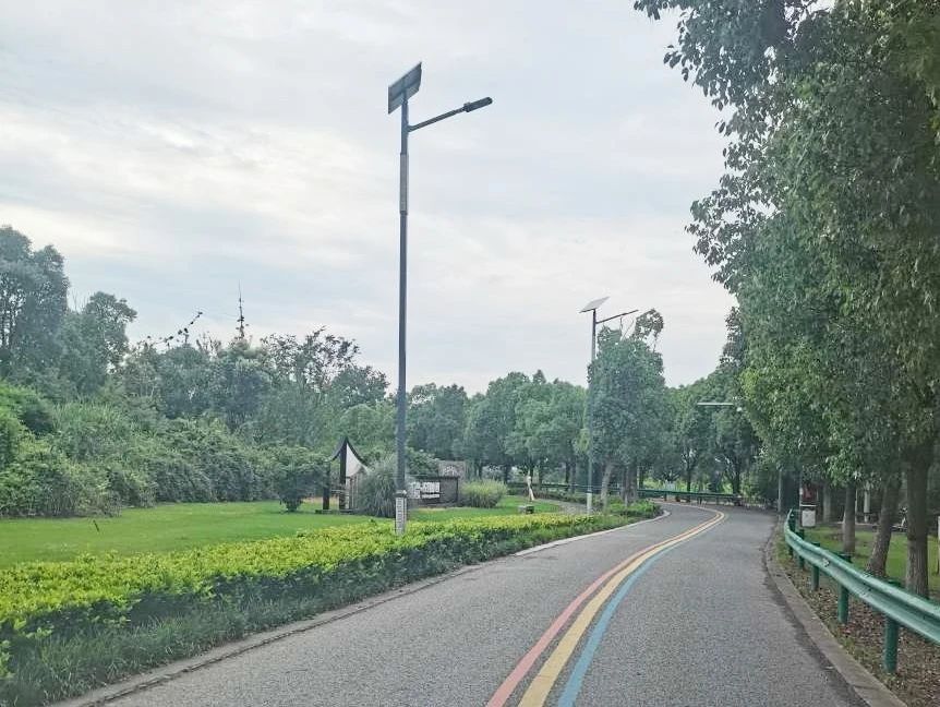 浙江嘉兴平湖市60公里农村公路亮化工程提前完工