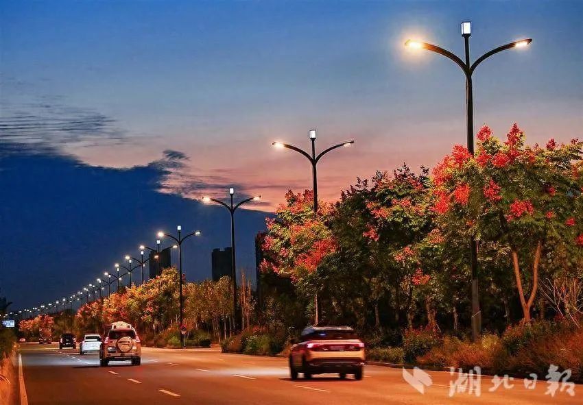 武汉新洲星谷大道智慧路灯正式亮灯