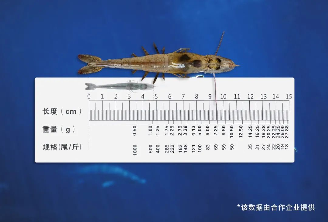 佛山照明亮相第26届中国国际渔业博览会