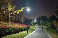 上海奉贤区金汇镇贤雅苑绿地60个庭院照明灯正式亮灯