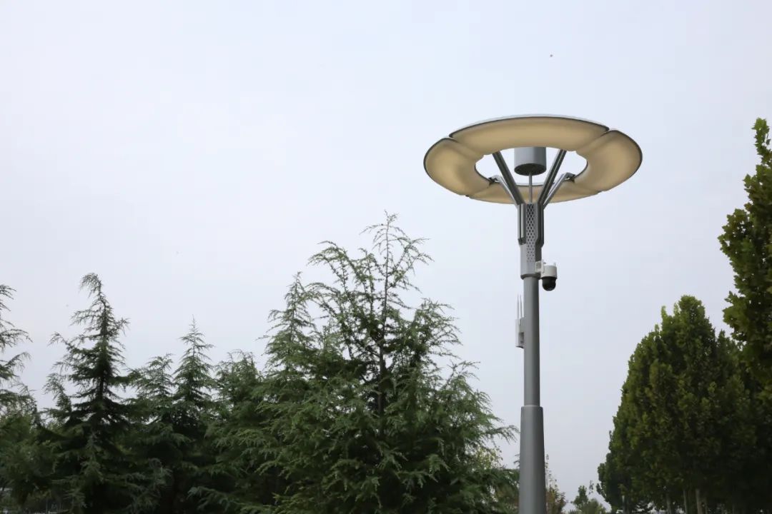 三星照明 | 城市家具/智慧景观庭院灯在城市绿化公园的应用•山东聊城中华路