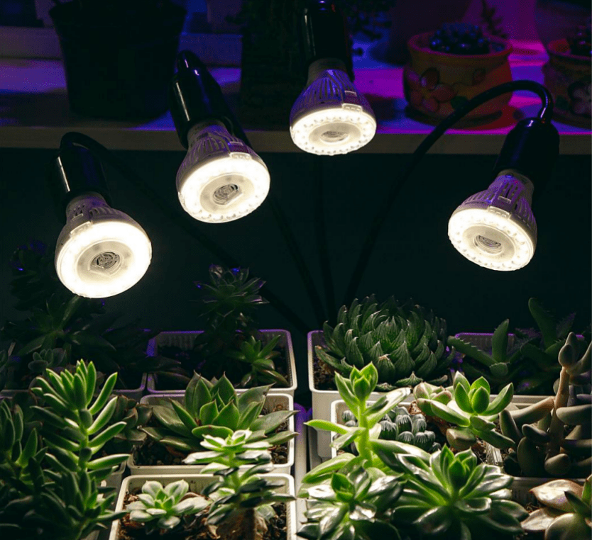 解决室内种植最大弊端的是方法—植物生长灯