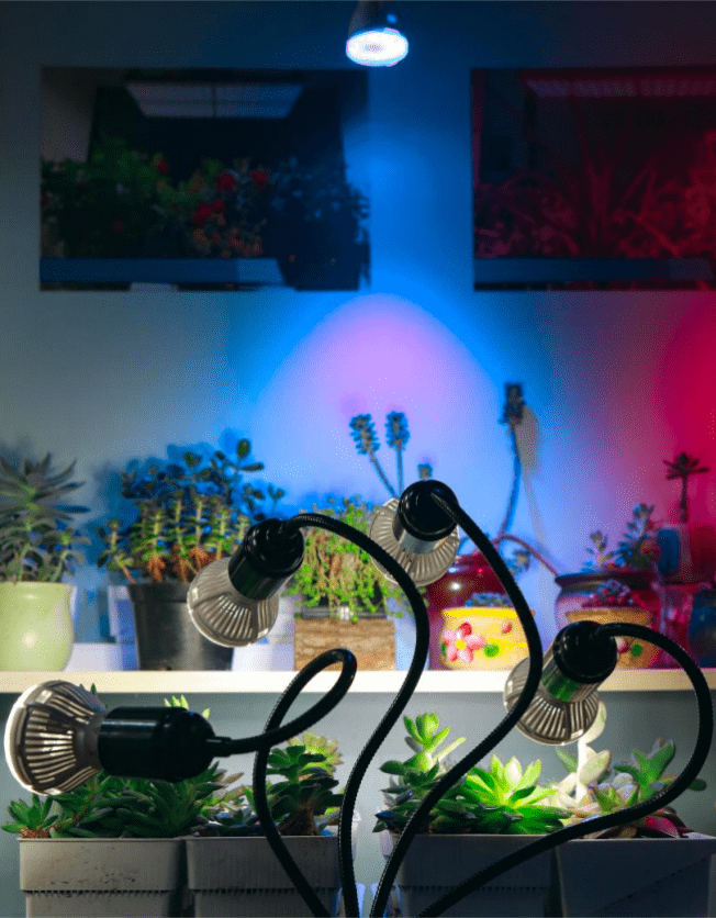解决室内种植最大弊端的是方法—植物生长灯