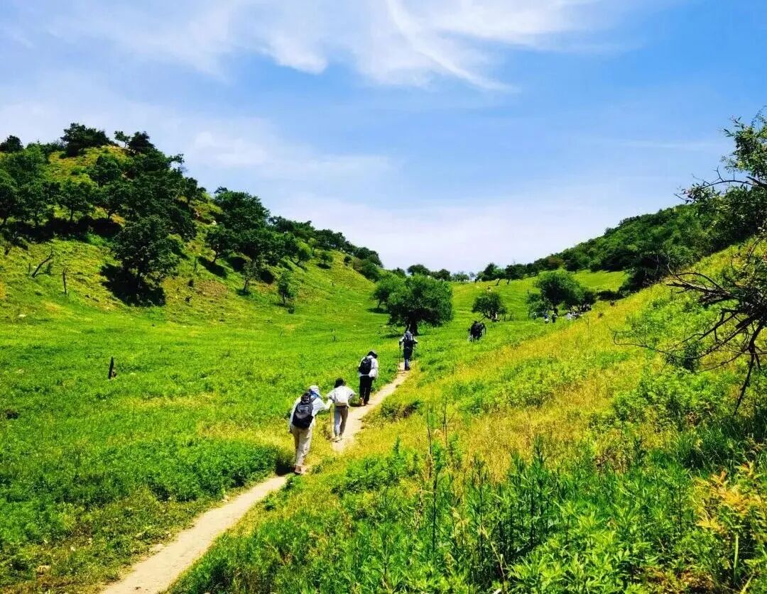去爬山时,发一条不一样的朋友圈